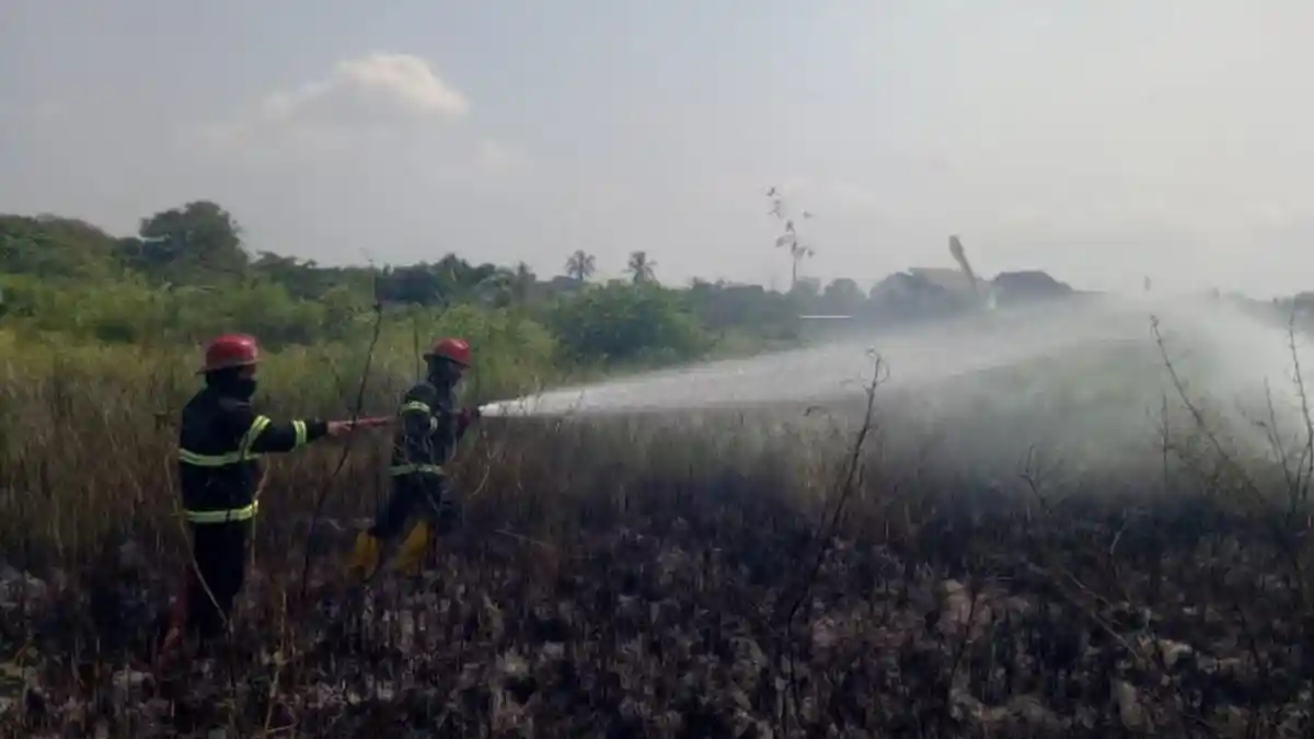 Damkar Cilegon Padamkan Enam Titik Kebakaran Lahan Kosong di Akhir Pekan Ini