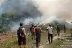 Baru Awal Tahun, Sudah Sekitar 13 Hektare Lahan Terbakar di Bengkalis