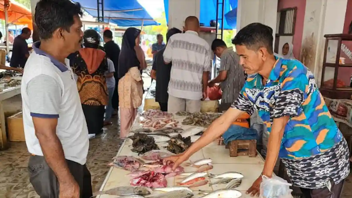 Hasil Tangkapan Nelayan di Pijay Minim, Harga Ikan Melonjak