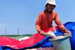 20260612-_-Petani-Bangsri-Jepara.jpg