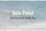 Lirik-Lagu-Gulu-Pedot-Dini-Kurnia-Mufly-Key.jpg