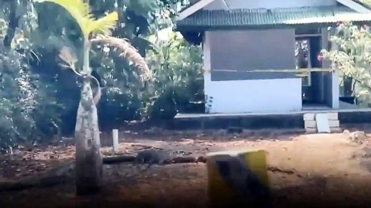 FAKTA BARU Kasus Anak Kolonel TNI AU, Dibakar Hidup-hidup dan Dibacok di Dada hingga Kehabisan Darah