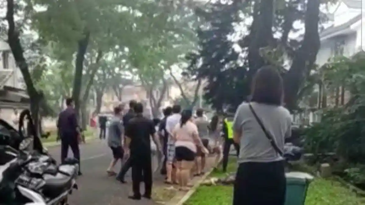 Soroti Kasus Pengemudi Jambak Istri Korban Kecelakaan di Karawaci, Hotman Paris : Ini Masalah Serius