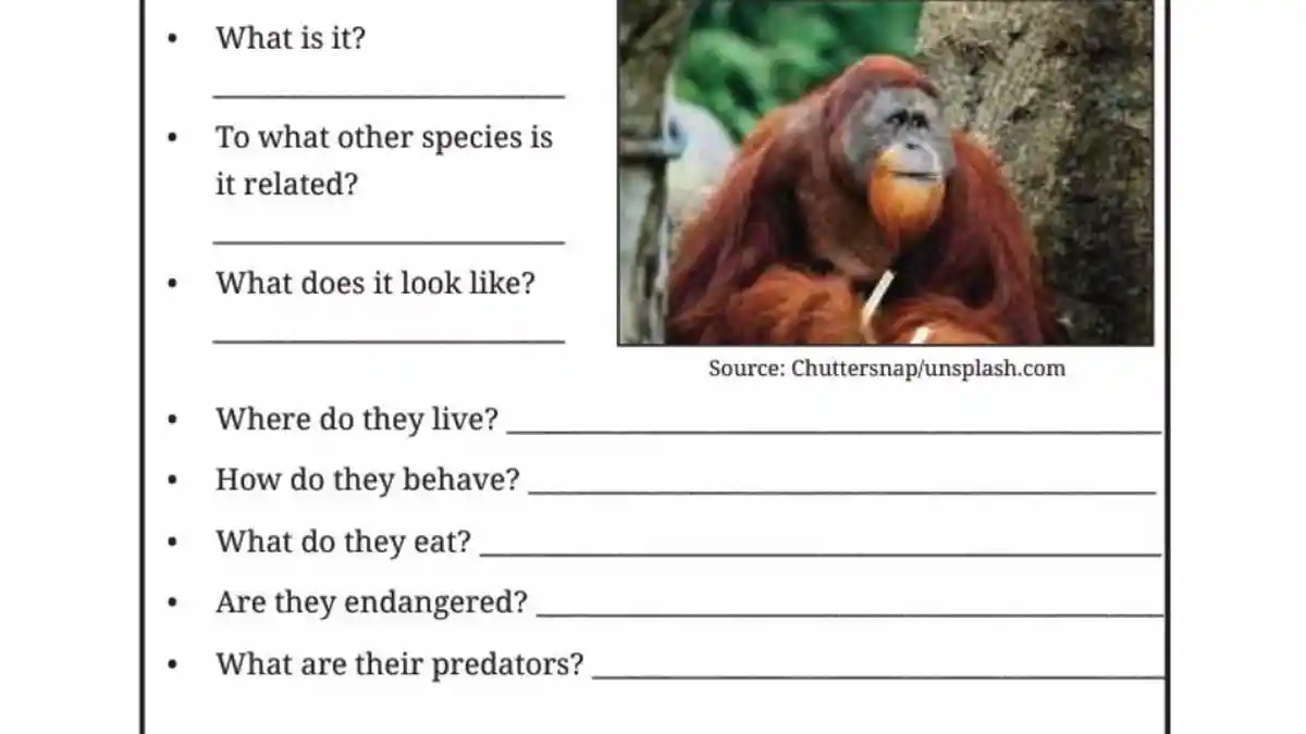 Kunci Jawaban Bahasa Inggris Kelas 9 Halaman 39 Kurikulum Merdeka, Bekantan: What Is It?
