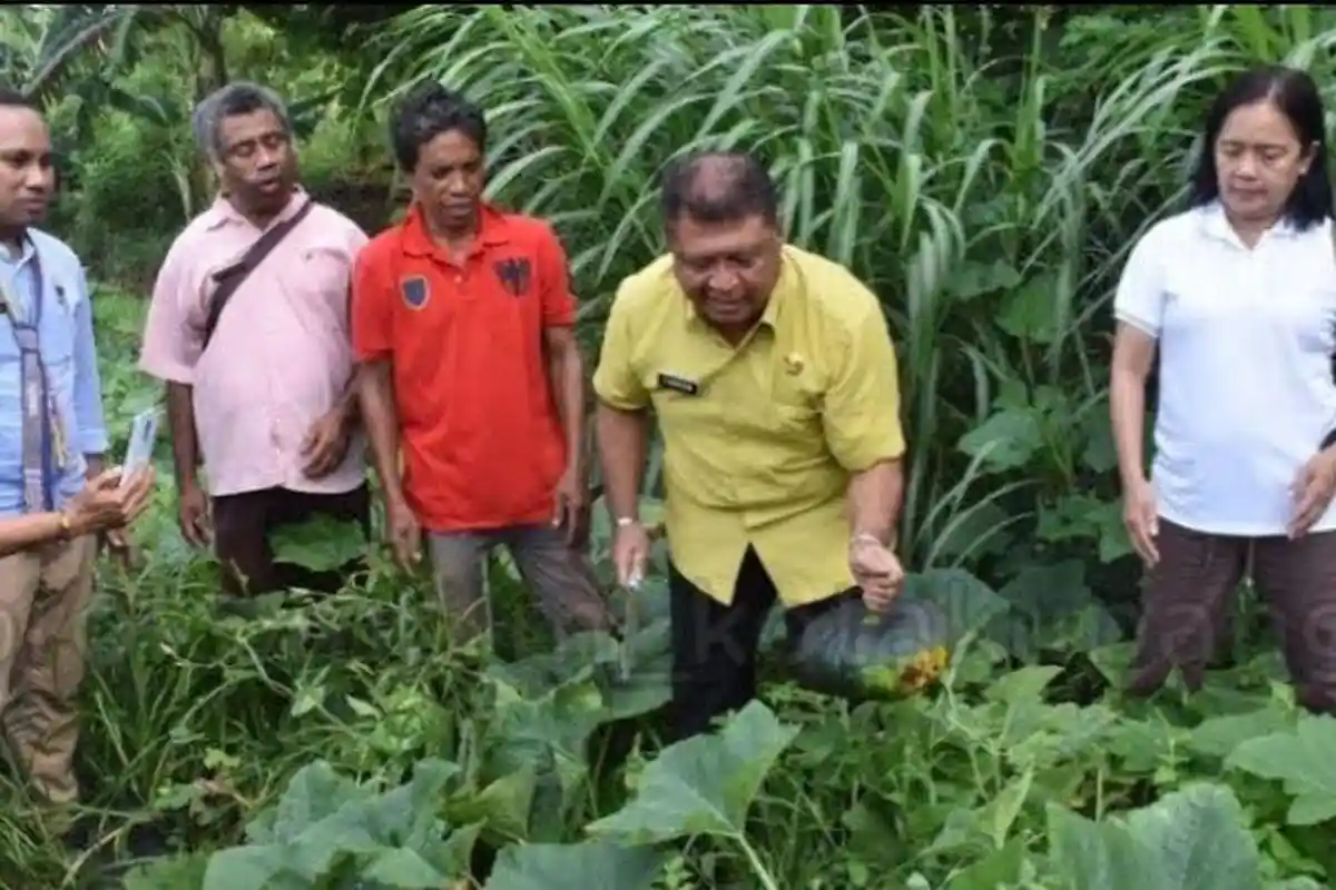 Warga Kota Kupang Setuju Terapkan Urban Farming