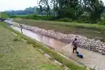 Bendungan Cipamingkis Bogor Jebol, Ayah Ajak Anak Cari Ikan di Aliran Sungai Irigasi