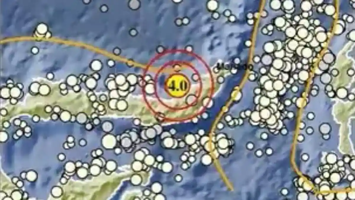 Update Gempa Hari Ini, Gempa Magnitudo 4.0 Getarkan Bolmong Sulawesi Utara, Cek Dampaknya via BMKG
