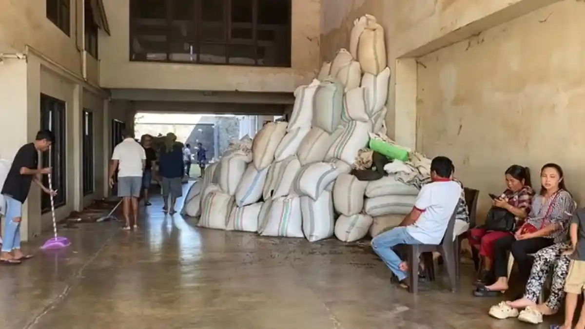 Harga Cengkih di Manado Sulawesi Utara Masih Stagnan, Petani Menjerit