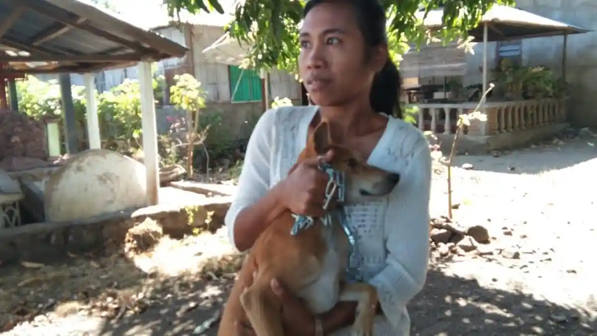 Lihat Info dan Kenali Tanda-tanda Hewan Terjangkit Rabies dan Begini Cara Pencegahannya