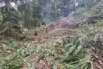 Jalur Sukarame-Tanjungjaya Tasikmalaya Lumpuh Total Tertimbun Longsor, Motor Belum Bisa Melintas