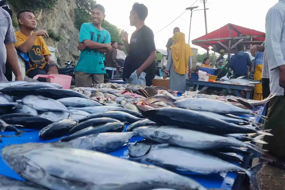 Harga Ikan di Pelelangan Tilamuta Boalemo Gorontalo Naik 2 Kali Lipat, Warga Mengeluh