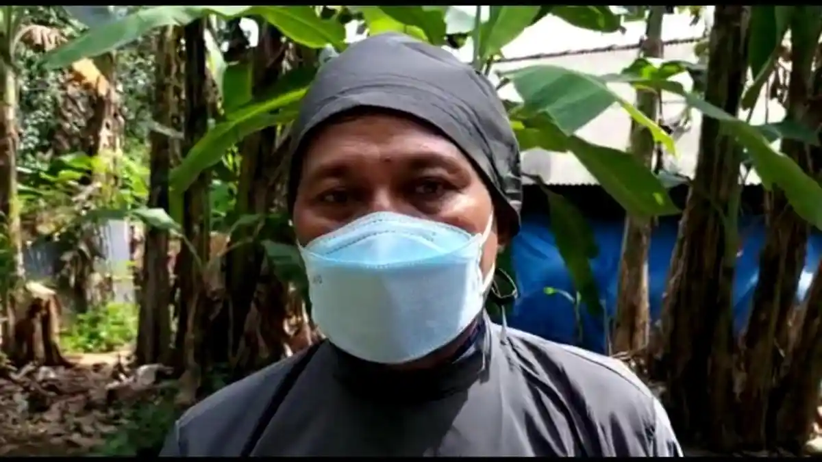 Percepatan Penanganan, 23 Ribu Sapi di Batang Siap Divaksinsi PMK