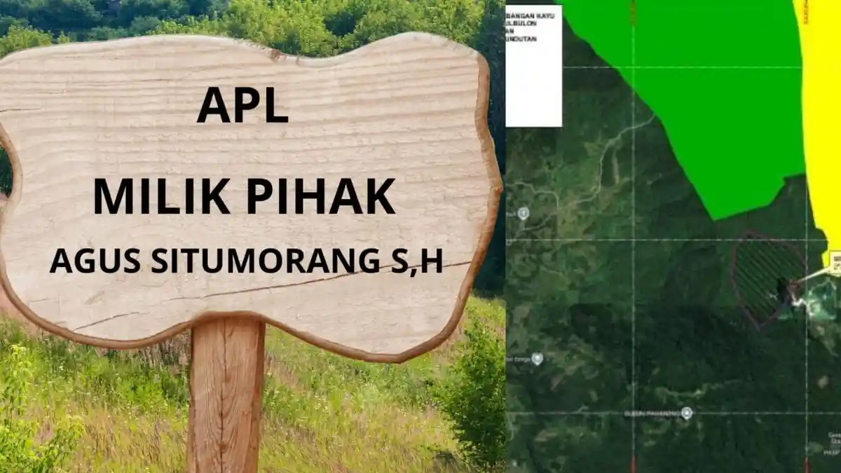 Polres Humbang Hasundutan dan KPH XIII Tinjau Lokasi Penebangan Kayu di Parlilitan