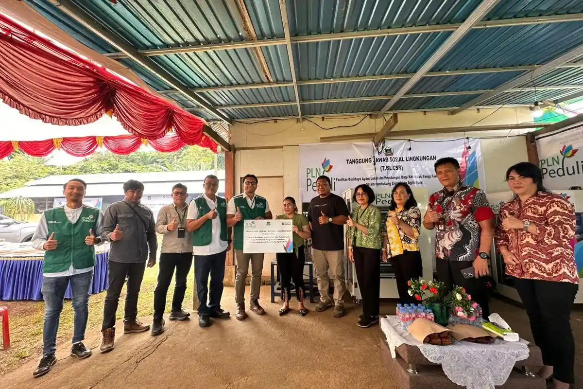 Dukung Ketahanan Pangan, PLN Hadirkan Fasilitas Peternakan Ayam Lokal Berbasis Listrik di Tomohon