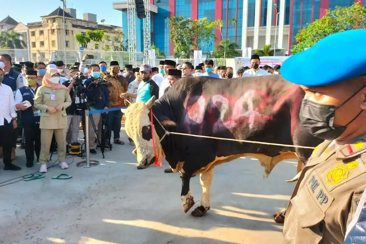 Anies Baswedan Salurkan Sapi Kurban di JIS Bertuliskan 024, Jamaah Kaitkan Pemilu 2024