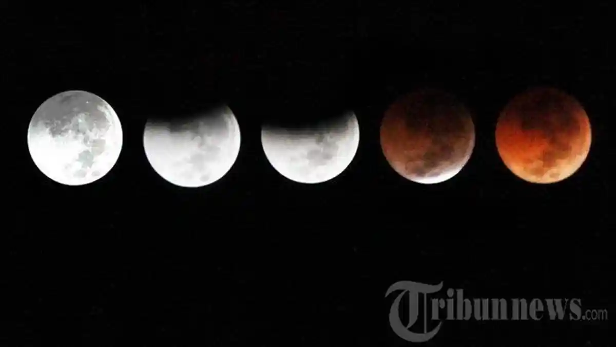 CARA Menyaksikan Gerhana Bulan Total Rabu 26 Mei 2021 dan Link Live Stream Super Blood Moon