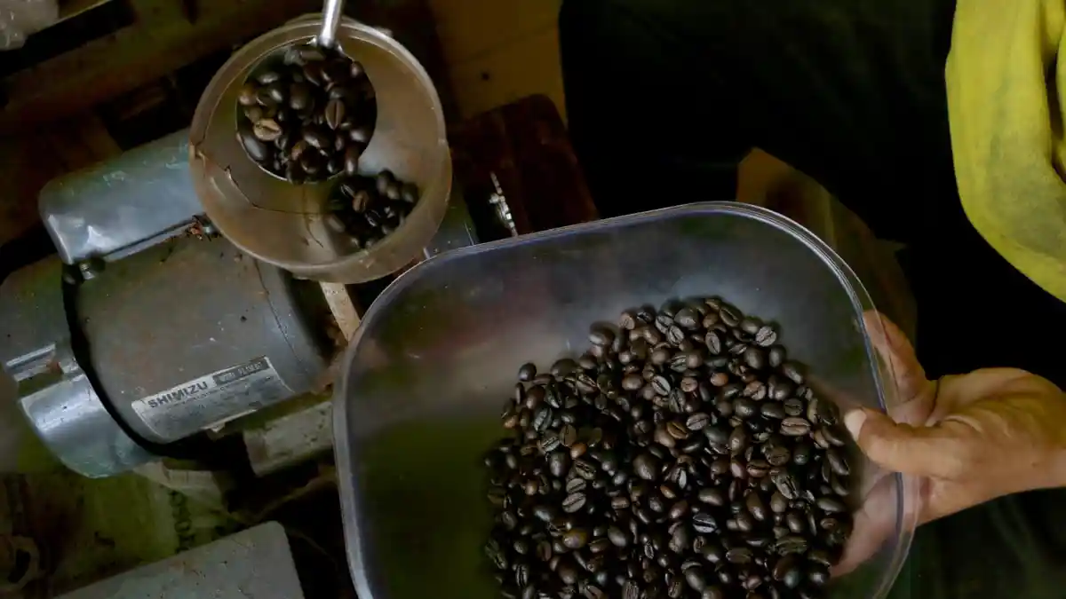 Manfaat Kopi Bagi Tubuh, Meningkatkan Daya Tahan hingga Melawan Kanker