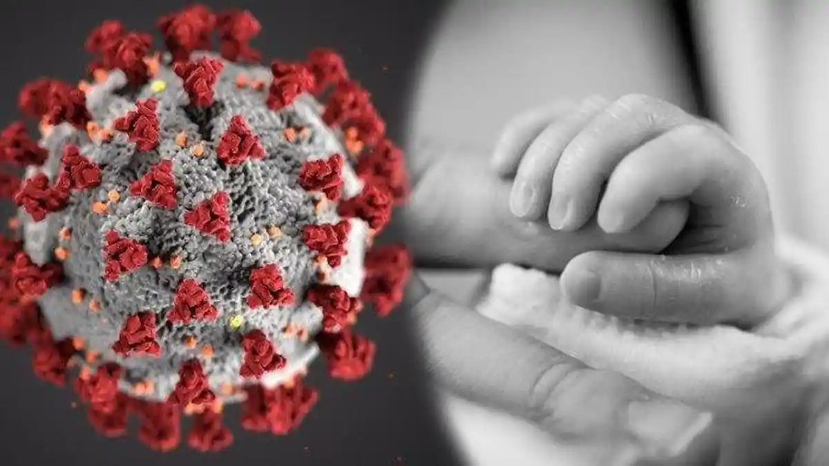Virus Corona Mudah Hancur di Luar Tubuh Manusia, Ini Penjelasan Ahli Virologi