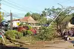 Pohon-dan-tiang-listrik-tumbang-usai-kecelakaan-beruntun-di-Kota-Padang.jpg