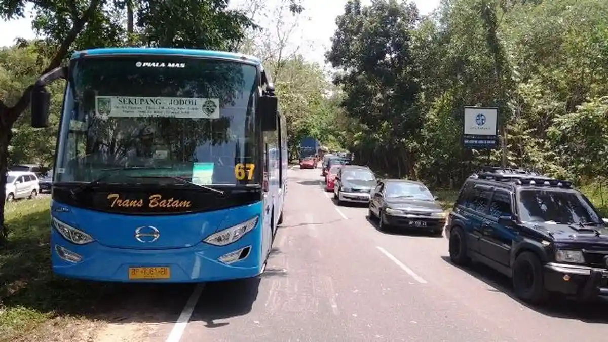 Sudah Punya 82 Unit Trans Batam, Walikota Batam Minta Tambah 40 Unit Lagi