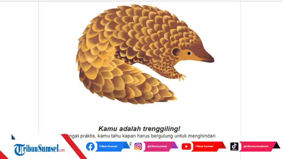 Link Kuis Hari Bumi Beserta Cara Memainkan Gamenya, Viral di Instagram dan Twitter