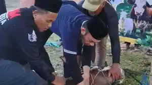 Yayasan-Al-Izzah-Serang-sDgfasf.jpg