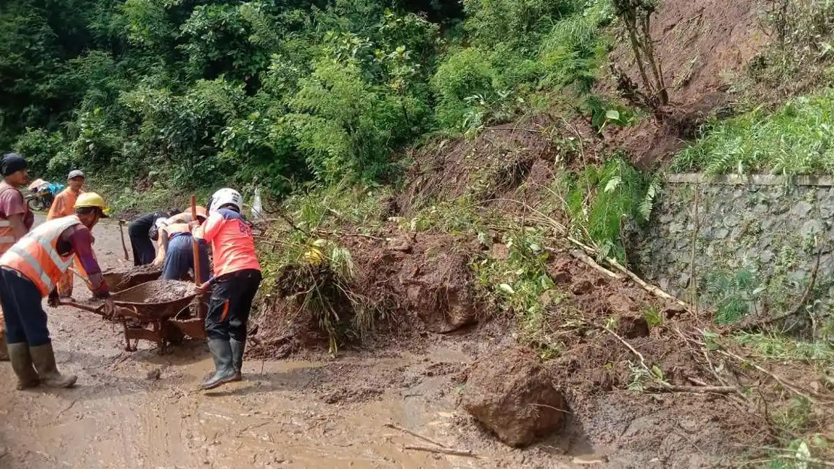 Tebing di Jalan Raya Malang-Lumajang Kecamatan Ampelgading Longsor