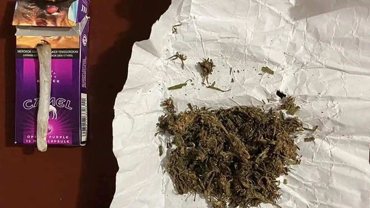 2 Pengendara Motor di Solok Dikejar Polisi karena Simpan Ganja, Satu Ketangkap Satu Kabur