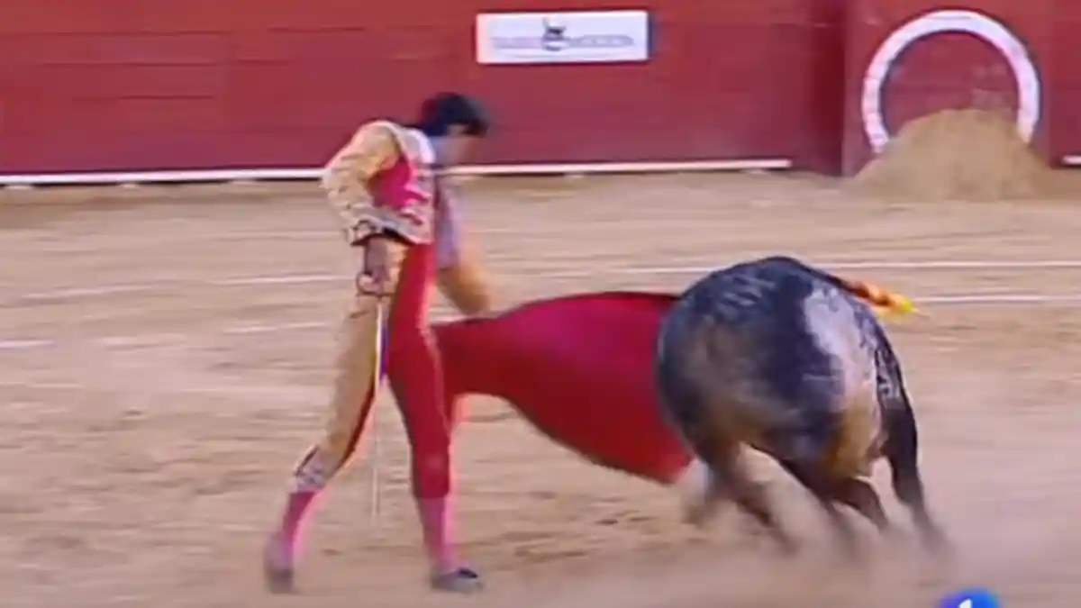 Matador Tewas di Arena Adu Banteng, Dadanya Tertancap Tanduk
