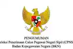badan-kepegawaian-negara_20170905_144514.jpg