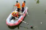 Petugas BPBD Bersihkan Sampah di Danau Masjid Raya Al Jabbar