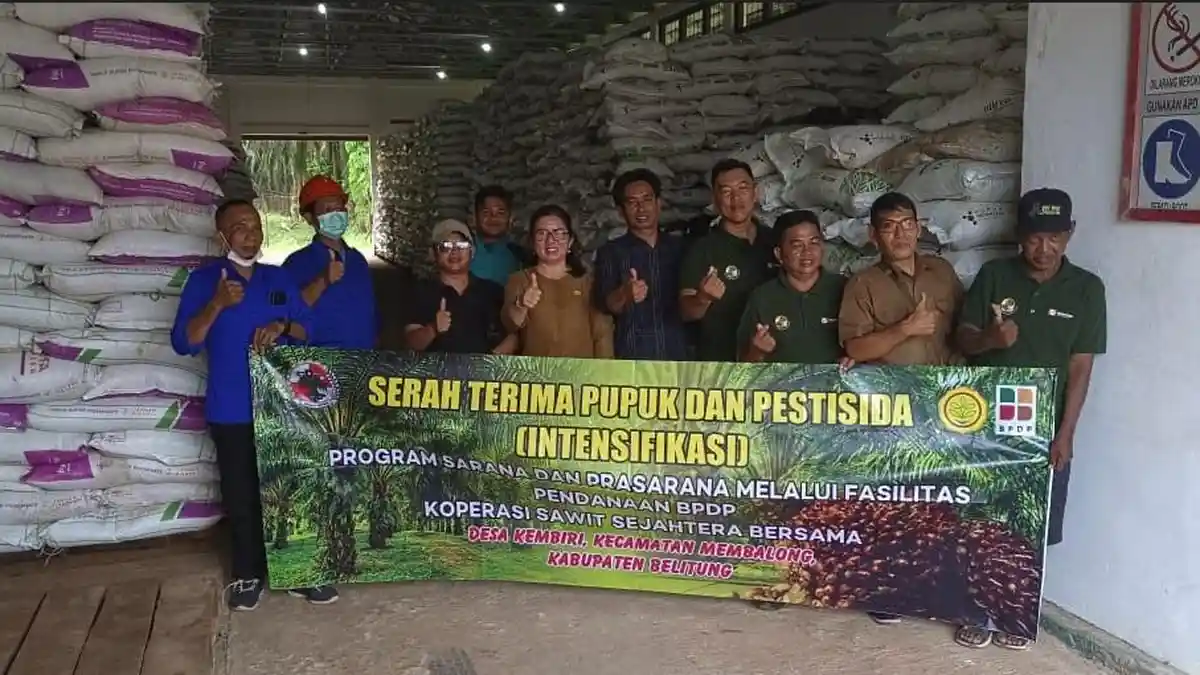 375 Petani Sawit Desa Kembiri Dapat Bantuan BPDP, Hasil Kolaborasi PT Foresta Lestari Dwikarya