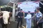 Sapi-bantuan-presiden-Banpres-Prabowo-Subianto-diserahkan-Wabup-Syah-Selasa-2652026.jpg