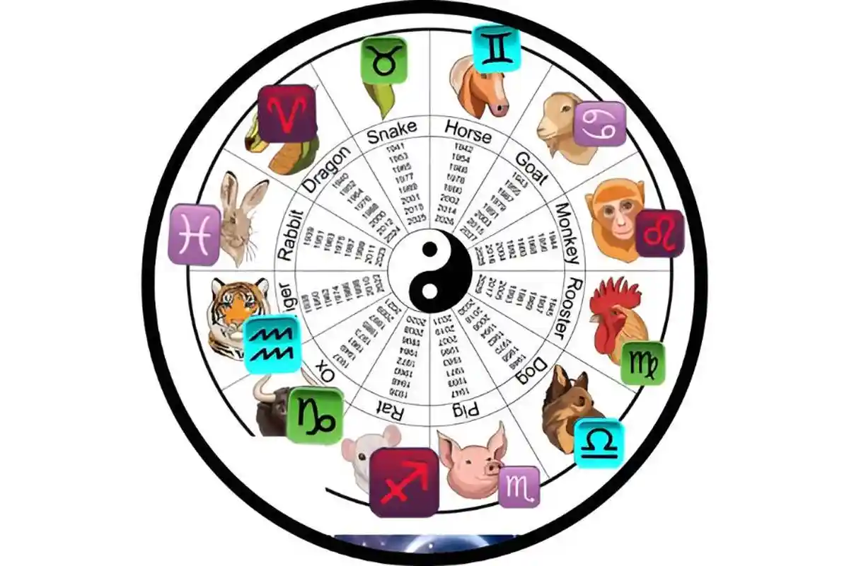 Ramalan Shio Hari Ini 14 November 2024, Shio Babi Disarankan Tetap Rendah Hati