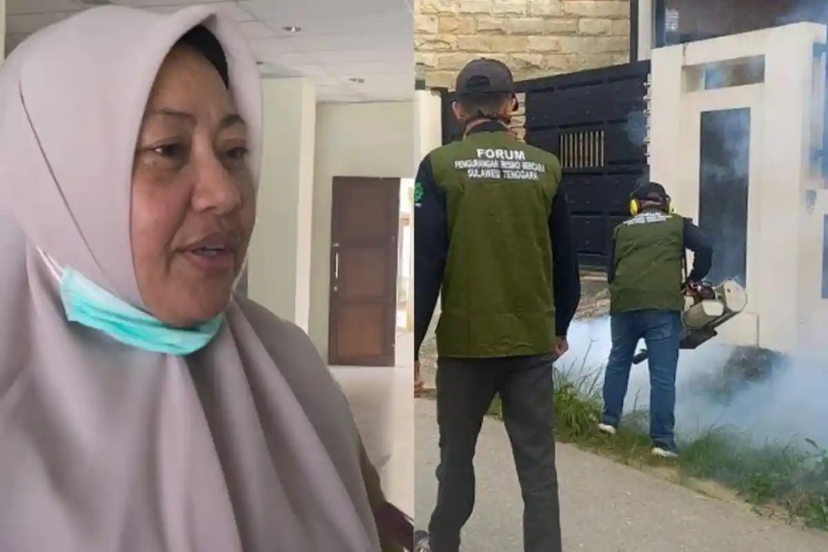 drg Fauziah Sebut Pemberantasan Sarang Nyamuk di Kendari Lebih Efektif Cegah DBD Dibanding Fogging