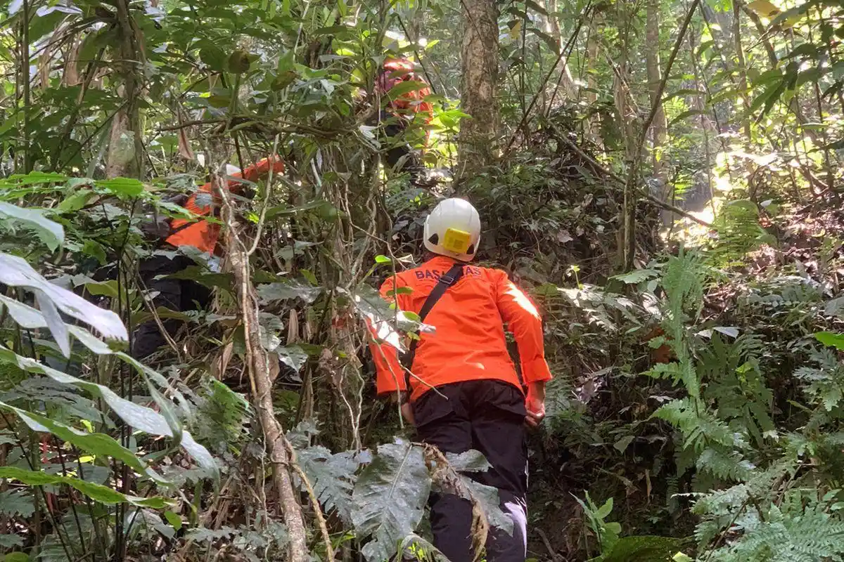 Dua Warga Dilaporkan Hilang Saat Cari Kayu Bakar di Hutan Masgo Kerinci, Tim SAR Cari di Radius 3 KM