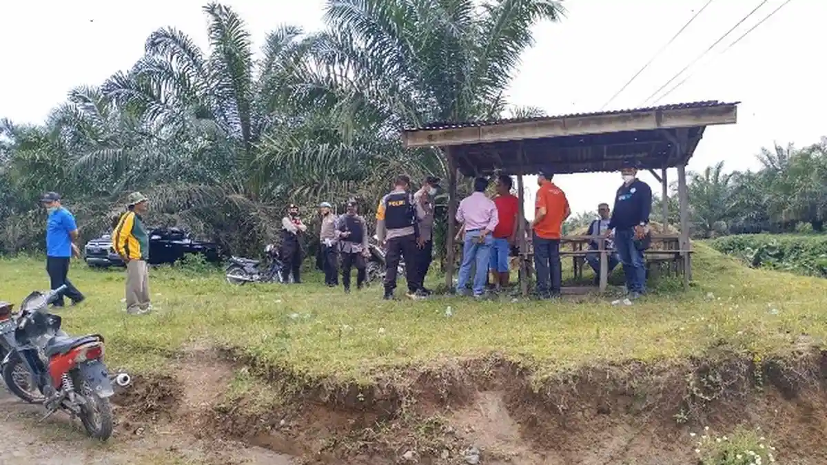 Usir Harimau Sumatera, Warga Desa Bah Birong Ulu Siapkan Petasan