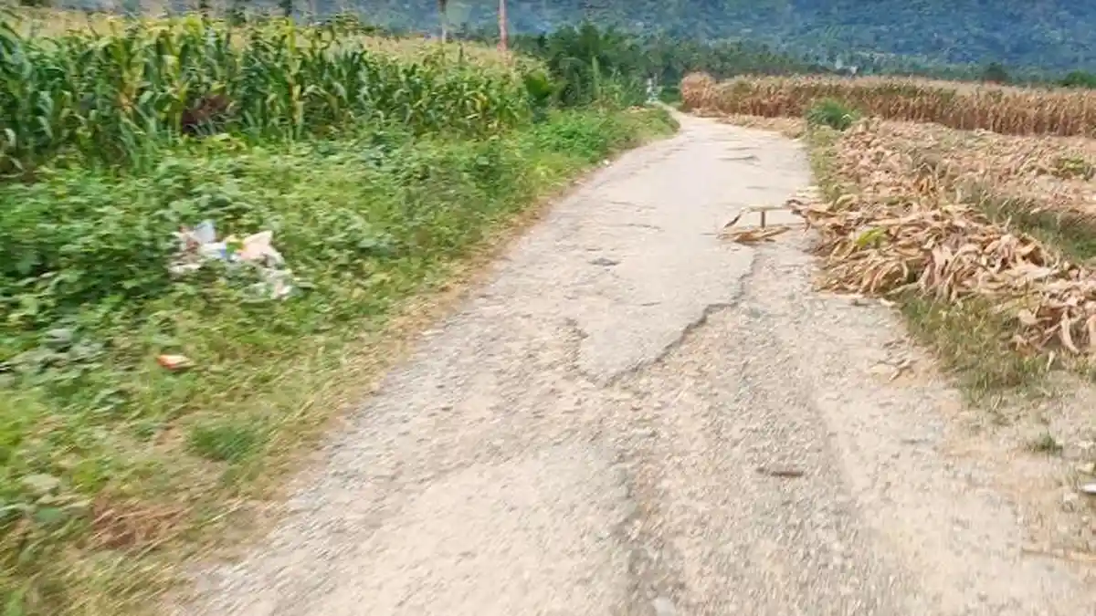 Jalan Lawe Loning Sepakat-Kedataran Rusak, Petani Sulit Angkut Hasil Panen