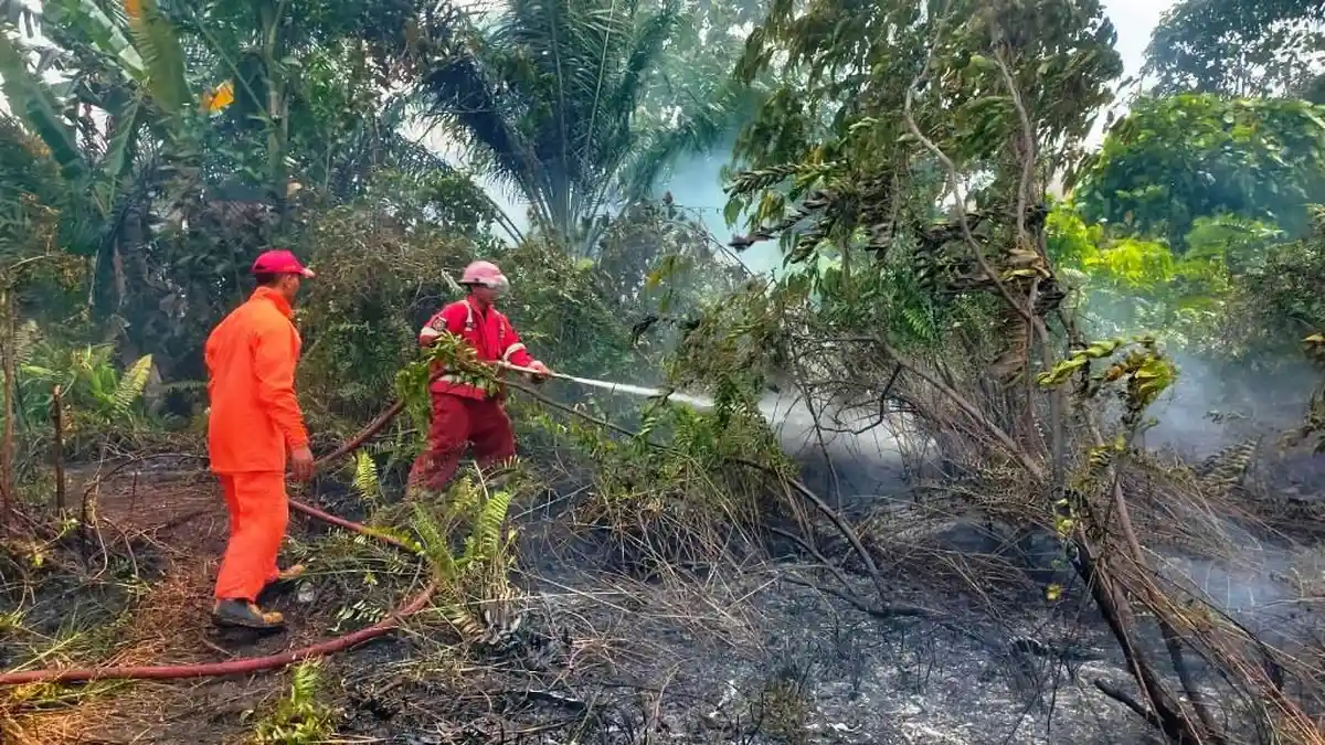 Kasus Kebakaran Lahan Mulai Muncul, BPBD Belitung Imbau Warga Waspada