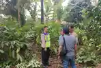 Jatuh dari Ketinggian 16 Meter Pohon Kelapa, Penderes Asal Bobotsari Purbalingga Meninggal