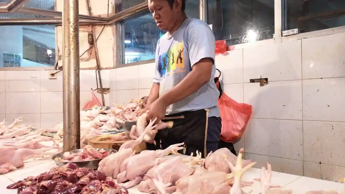 Indonesia Mampu Penuhi Protein Hewani Dalam Negeri