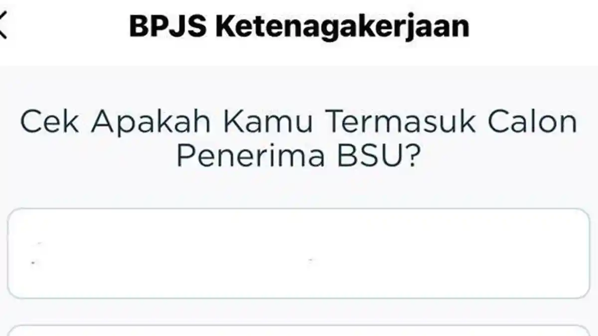 Cara Cek BSU dengan NIK di kemnaker.go.id, bpjsketenagakerjaan.go.id, dan JMO, Kapan Cair?