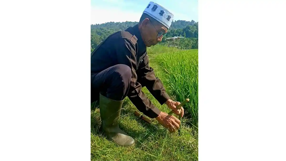 Disdikbud Aceh Jaya Berhasil Kawal UREH Raih Status Warisan Budaya Takbenda Indonesia - Serambinews.com