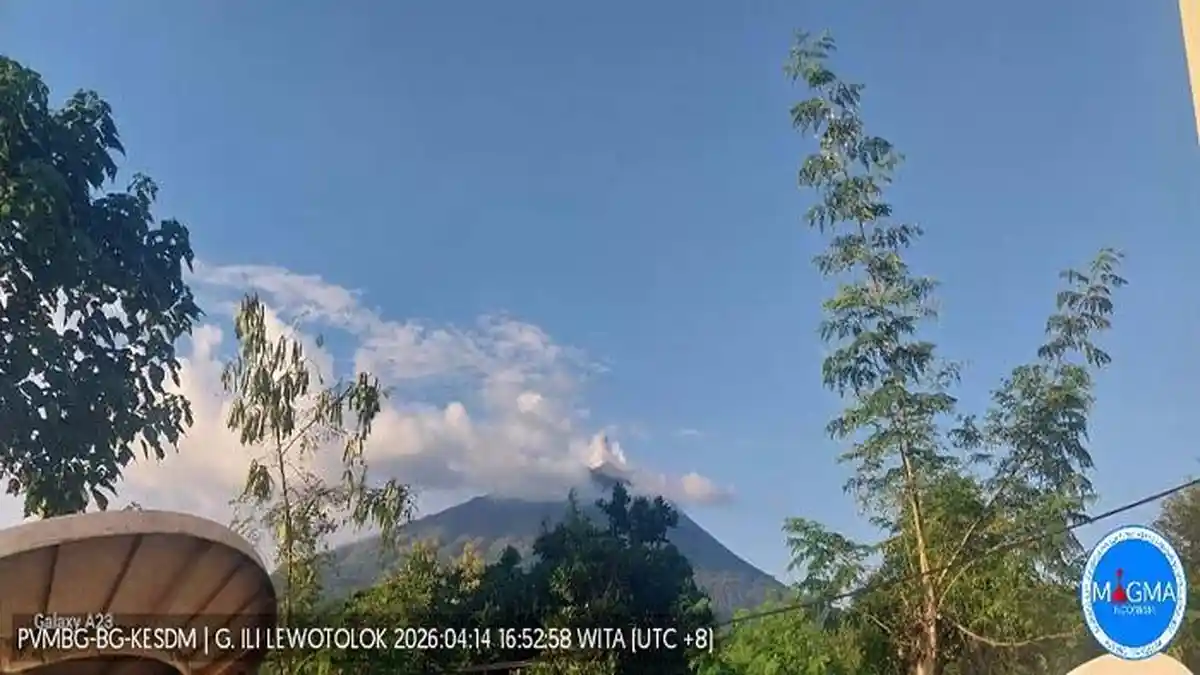 Gunung Lewotolok 30 Kali Gempa Erupsi 140 Kali Hembusan 24 Jam Terakhir