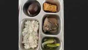 Menu-MBG-di-salah-satu-sekolah-di-Desa-Padang-Sipirok-Aek-Ledong-1.jpg