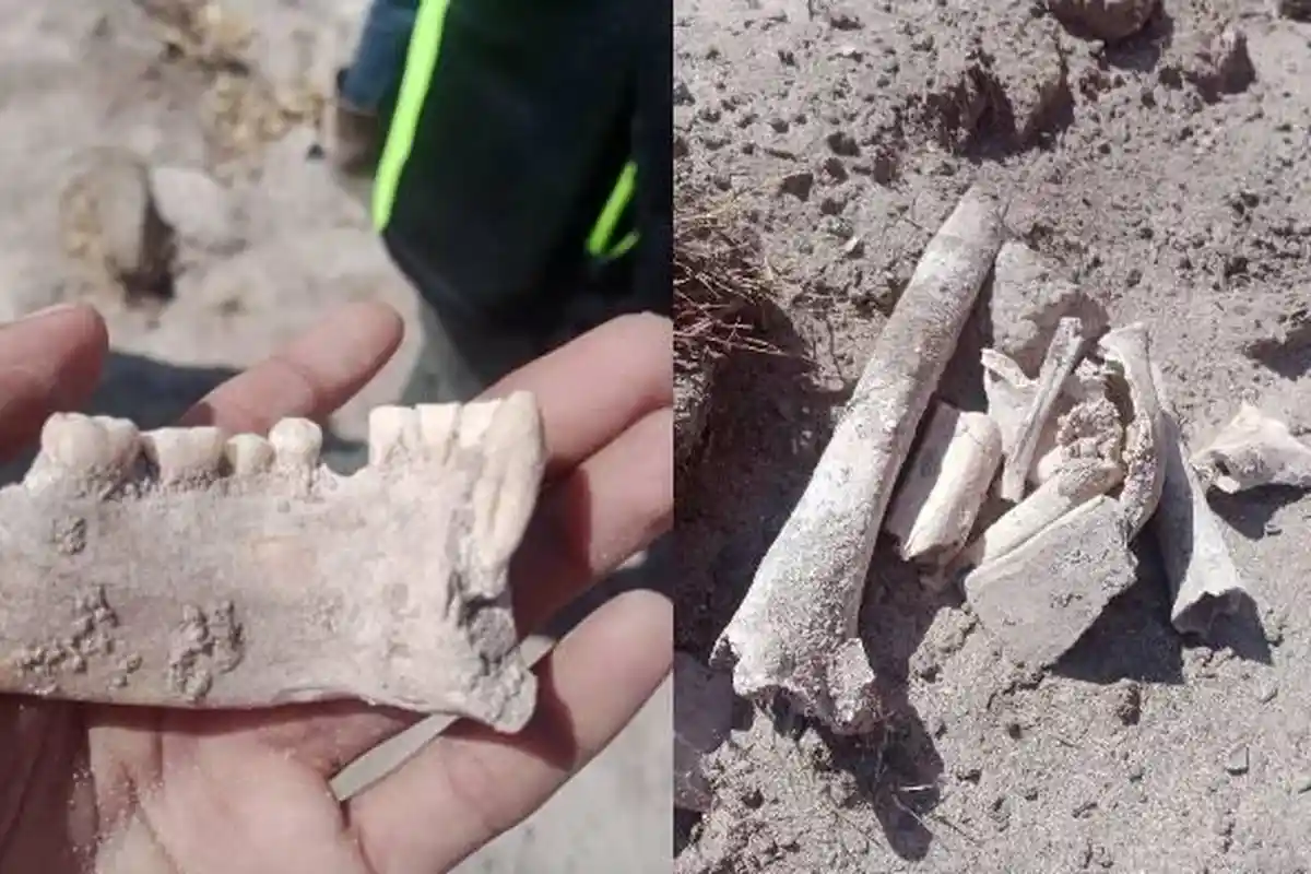 Warga Dompu Temukan Tulang Manusia di Area Tambang, PT STM Beri Klarifikasi