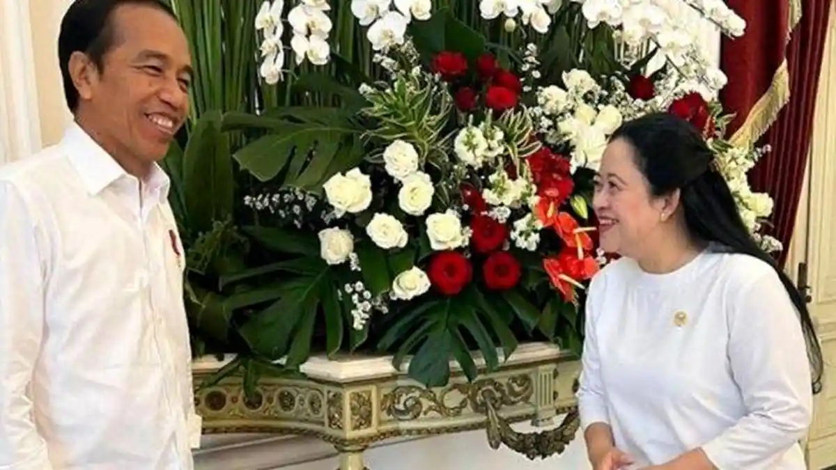 Terjawab Sikap PDIP Lihat Puan Maharani Bertemu Jokowi, Refly Harun Ungkap Beda Sikap Elite PDIP