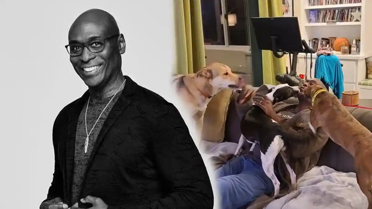 Unggahan Terakhir Lance Reddick Sehari Sebelum Meninggal Dunia, Memanjakan Anjing-anjingnya