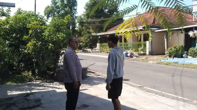 Tribun