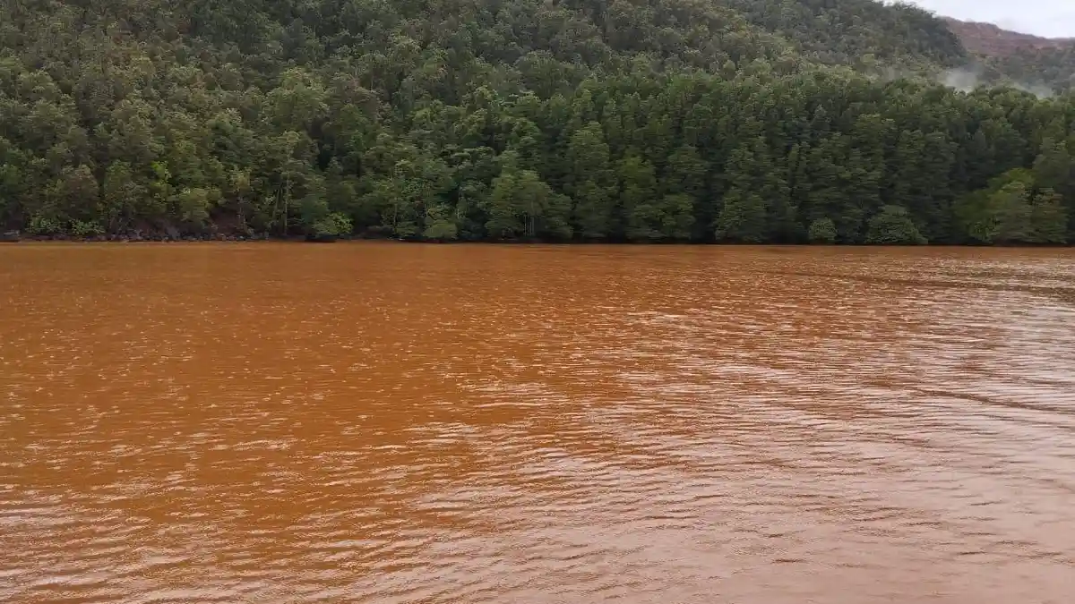 DKP Halmahera Selatan Sebut Perubahan Warna Laut Obi Bukan Limbah Industri, DLH Uji Sampel Air